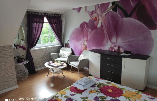 Blumen Apartment - Foto 8