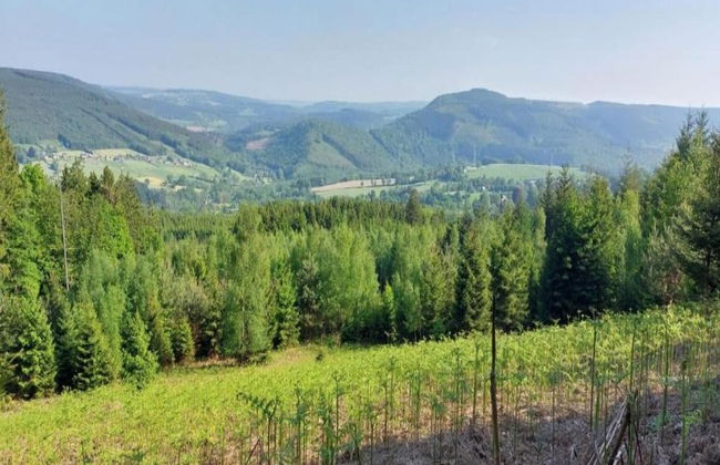 Historic Hideaway in Exbomont - Photo 34