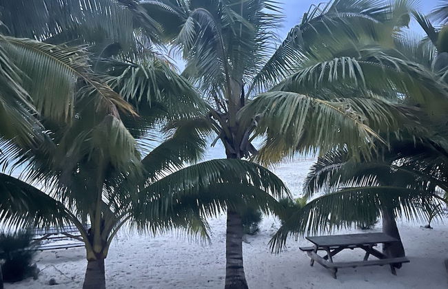 Rarotonga Villas - Foto 69