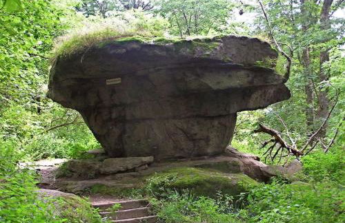 Ferienwohnung auf dem Dach des Frankenwaldes - Foto 14