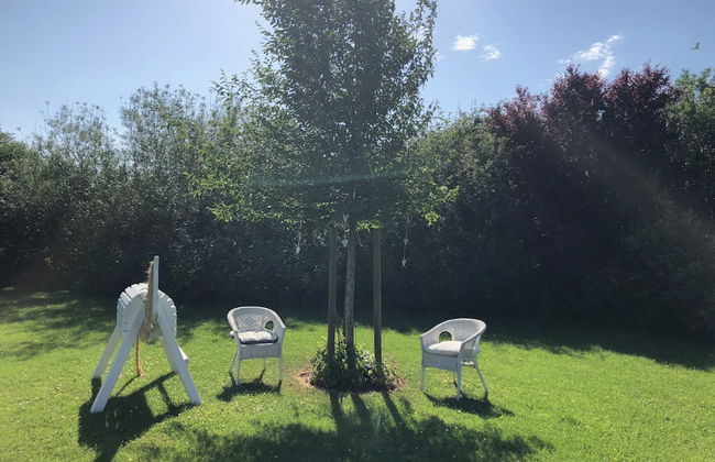 Pension Ferienwohnung Hillrichshof - Foto 33