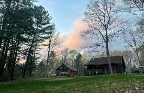 Log Cabin at the Goat Sanctuary - Foto 47