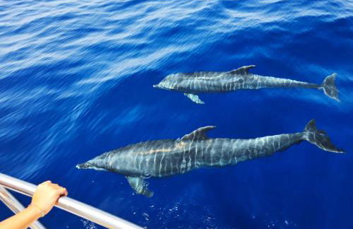 Playa San Juan Costa Relax - Foto 38