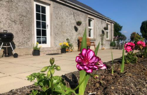 Ballyconnelly Cottages, Galgorm area - Foto 1