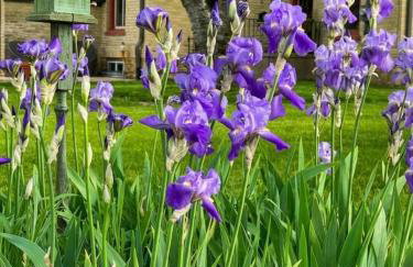 Historic 1868 Farmhouse Kettle Moraine Getaway - Foto 34