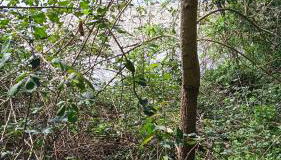 Casa di Paola a Tufo - Photo 3