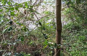 Casa di Paola a Tufo - Photo 3