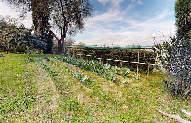 Primavera Villa Sea View - Foto 31