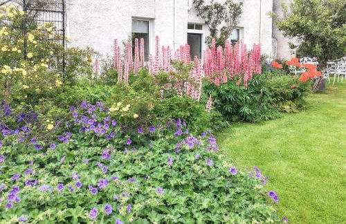 Sunnyside - Photo 16