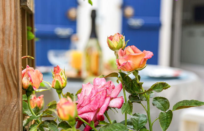 Jardin Secret - Foto 1