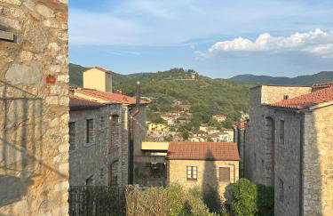 Borgo di Gaiole - Casa Julietta - apartment with a view & travel guide - Foto 44