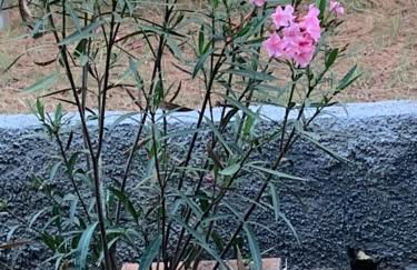 Appartamento Laguna - Foto 24