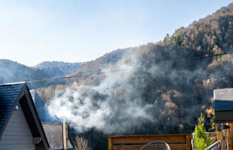 Chalet Le René-Sens - 5 pers - Grande terrasse - bain nordique SPA - Piscine - Foto 31