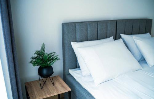 Apartamenty I SORAU Old Town - Foto 59