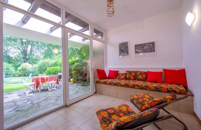 Rododendro Rosso - Foto 8