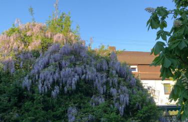 Saarlouis Innenstadt im Grünen - Foto 43