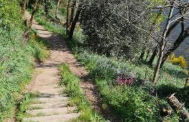 Domaine d'Annégré - Foto 27