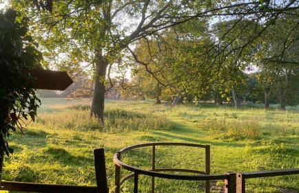 Puddle Duck Cottage - Foto 21