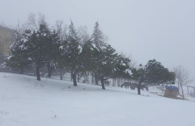 Allevamento B&B - Foto 49