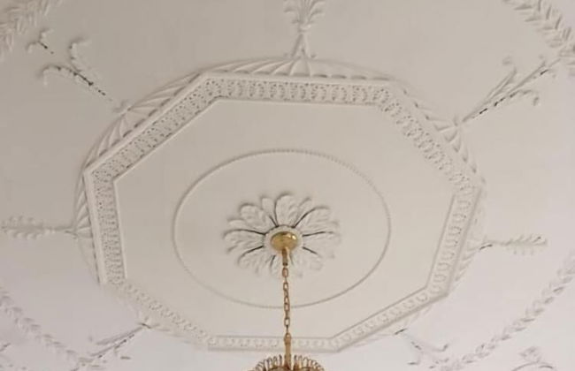 Ellison Hall - Foto 25