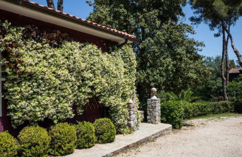 Villa Gelsomini - Foto 29