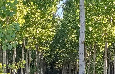 Casa Histórica Aldana, Plaza Vieja - Foto 26