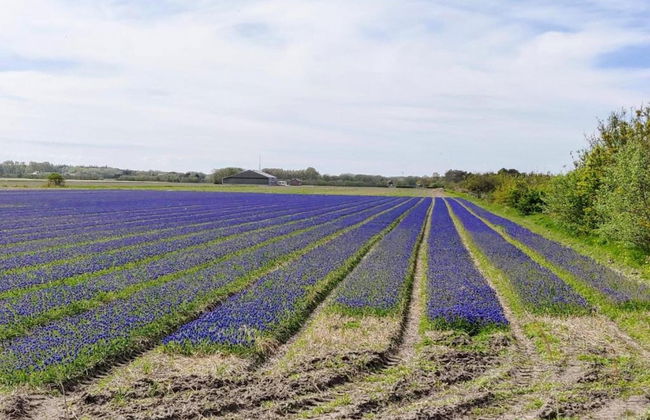 Detached House With Dishwasher Near the Sea - Foto 31