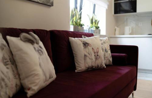 Altara Apartamenty Centrum - Free Parking - Foto 69