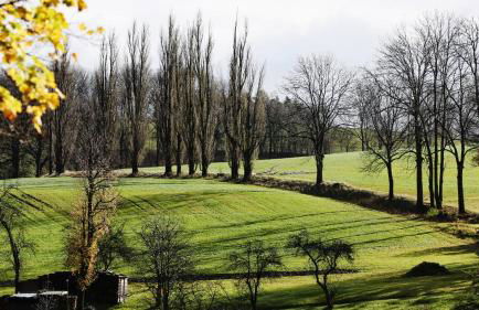 Ferienhaus Drebach - Foto 71