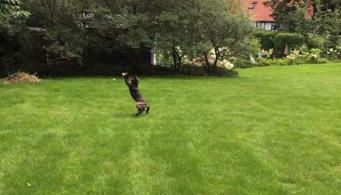 Ferienwohnung Little Something - Foto 3