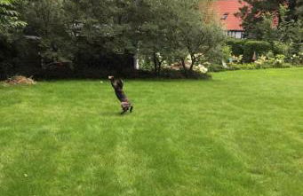 Ferienwohnung Little Something - Foto 3