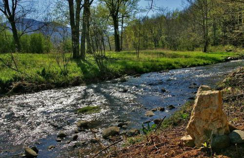 Luxury Mountain Cabin Rental on Rockfish Gap River near Charlottesville, Virginia - Foto 22
