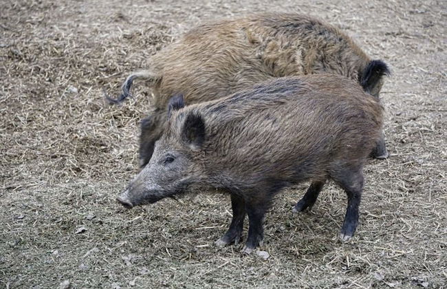 A House to Stay for Holidays - Foto 15