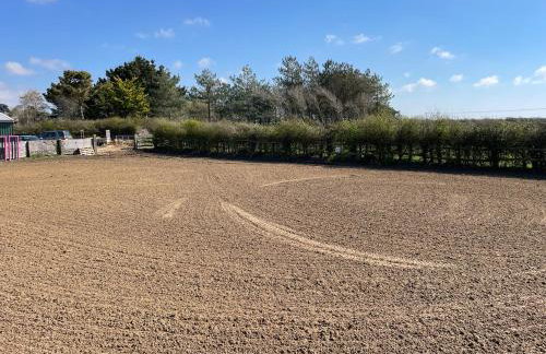 The Stables - Photo 23