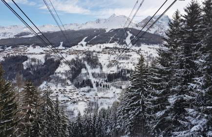 Luxury Apartment MONTCHAVIN - Foto 5