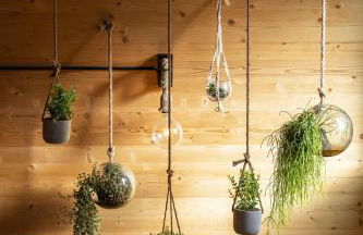 L'Oasis des Coccinelles - Foto 63