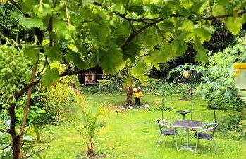 gîte du jardin secret - Foto 20