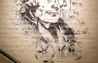 ERASMUS PLAZA - Foto 23