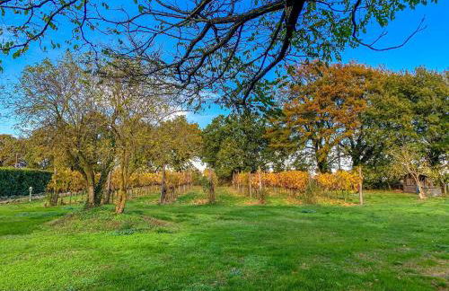 Madeleine: Luxury Villa in Italy - Foto 56