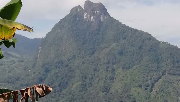 Tour to Guática & Quinchía - Foto 5