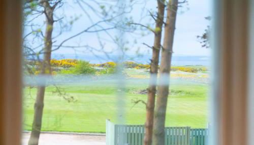 At The Bay - Photo 4, Other