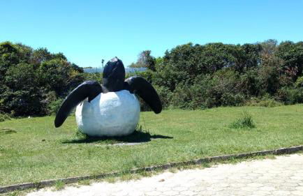 Studios Formanabá - Foto 58