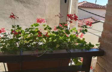 Dimora alla Chiesa Diruta - Foto 35