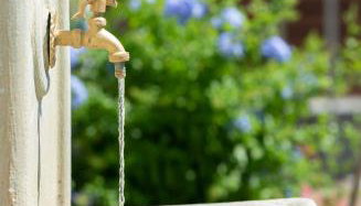 Villa Isabella - Foto 4, Garden