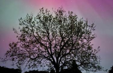 Orchard Hideaway, Bielby, York - Photo 50