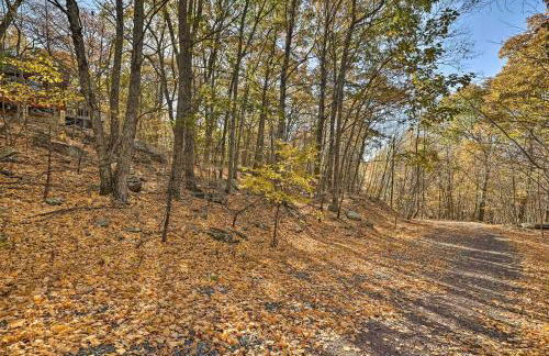 Deck and Forest Views Secluded Cresco Cabin! - Foto 29