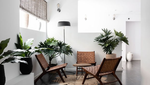 Terreno Suites - Photo 2, Primary image