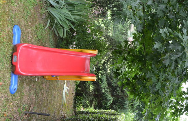 Podere Campofossato - Photo 24