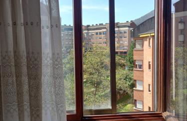 La terraza del Naranco - 3 habitaciones , PARKING y WIFI free - Foto 20