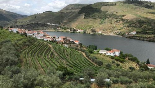 Casa José Lourenço - Foto 3